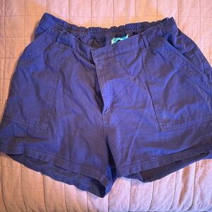 Big Bud Press (work pant) shorts